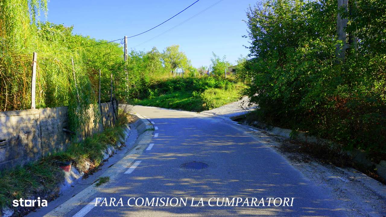 BUDESTI, TEREN 1000 MP, PRIVELISTE MINUNATA - Imagine principală: 2/13