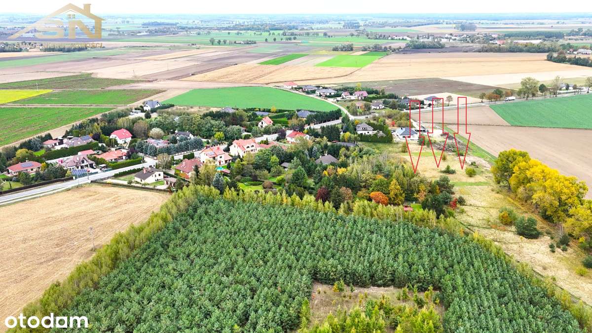 Ostatnie 3 działki, blisko do lasu! - Pełny obrazek: 4/6