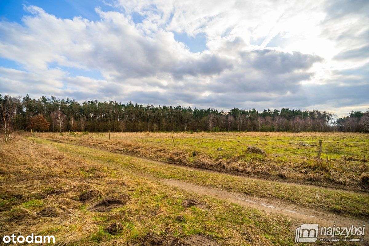 Nowe Kulice - działka rolna 7121m2 - Pełny obrazek: 4/16