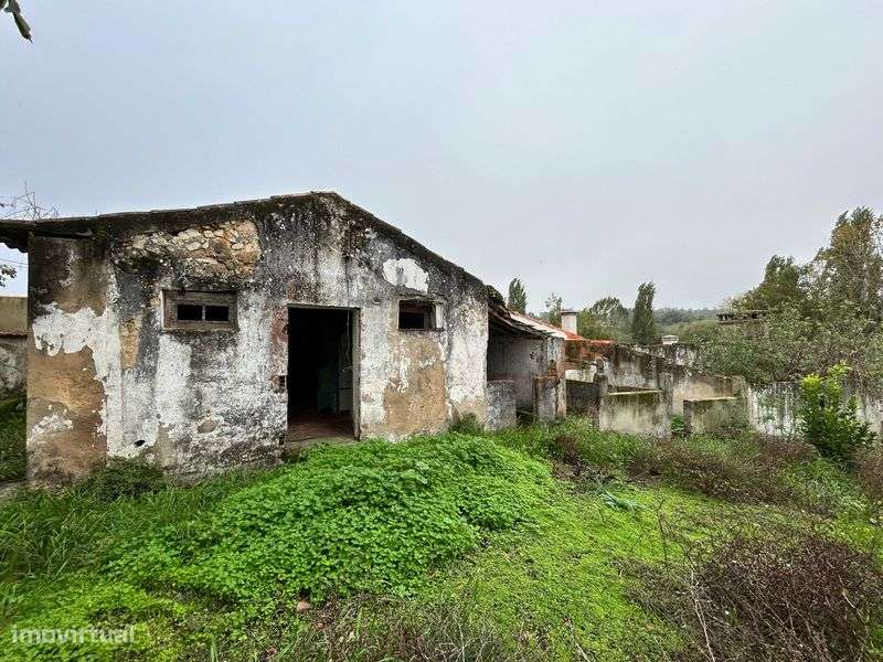 Moradia Rio Maior - Grande imagem: 4/8