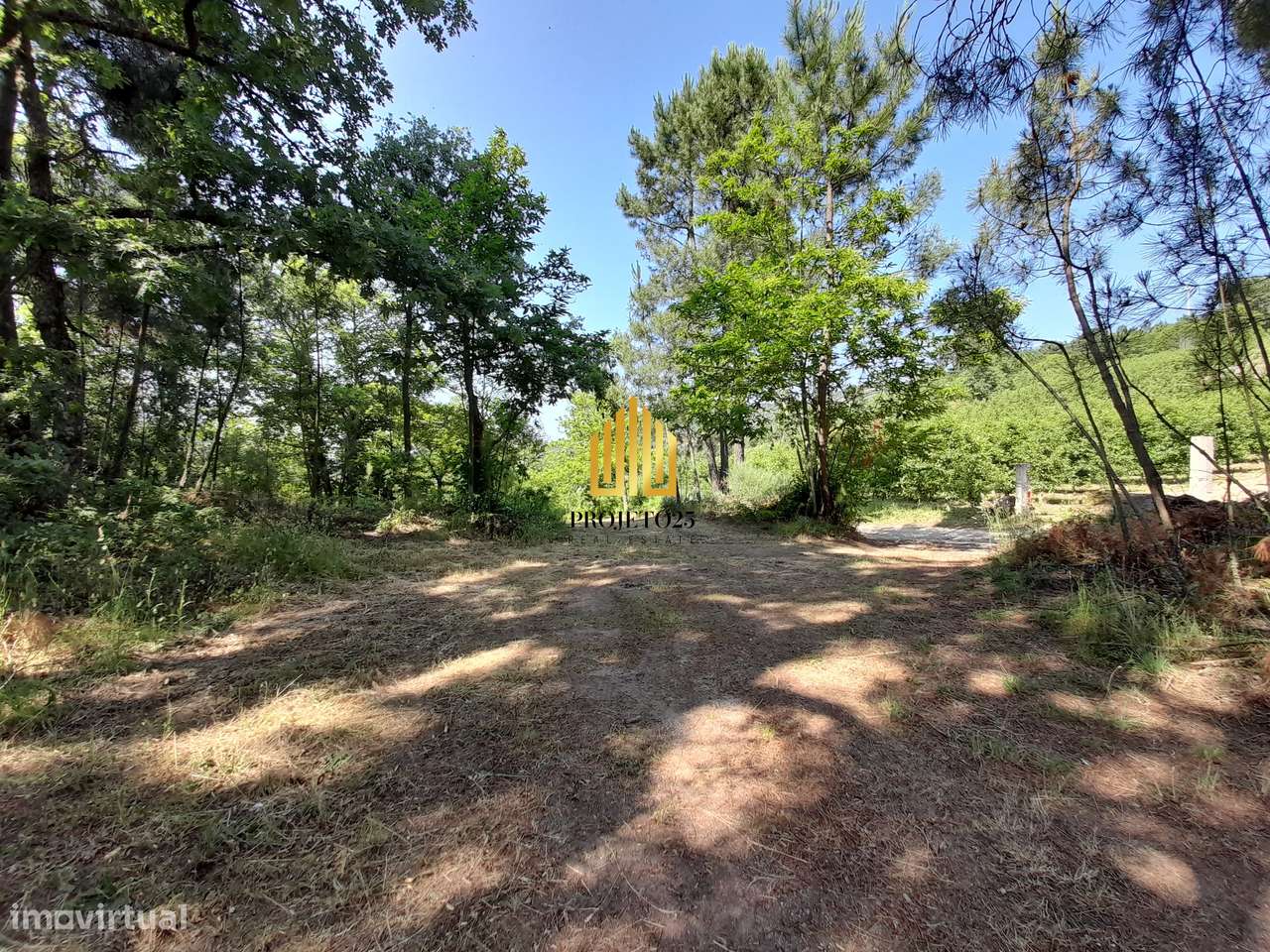 Terreno único com 21.500 m² Zona Vinhateira - Projeto Turístico-27