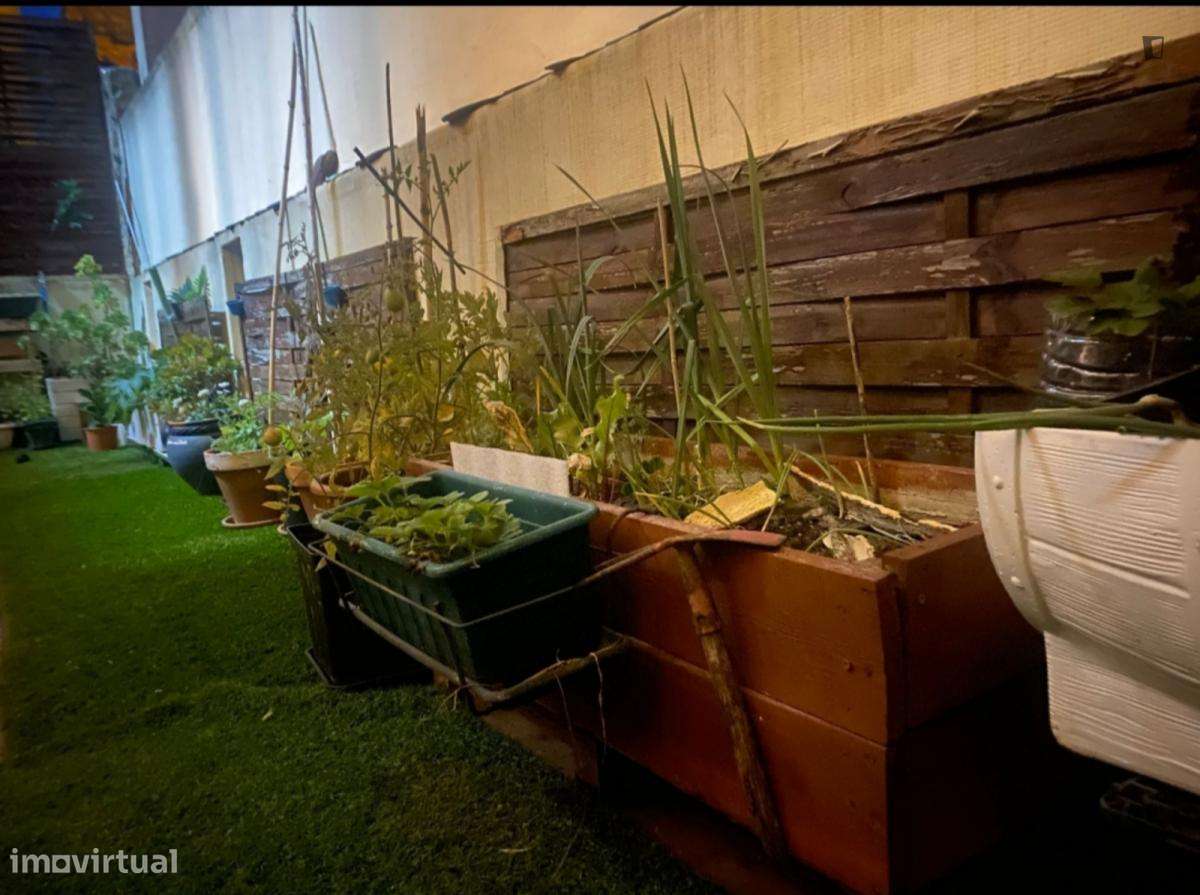 Apartamento com 1 quartos - localizado em Sete Rios Lisbon - Grande imagem: 2/7