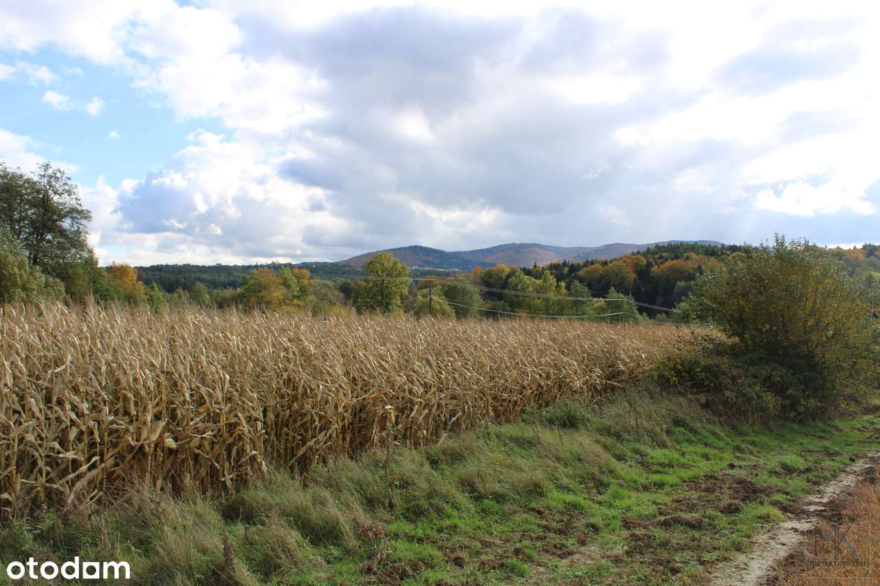 Kierlikówka - działka budowlano-rolna w spokojnej okolicy.-0