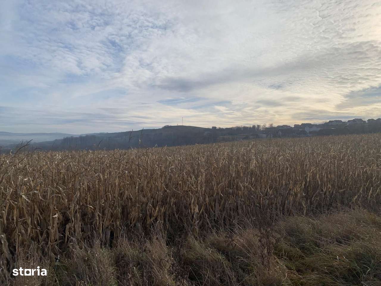 Teren intravilan de vânzare | Cajvana | 7.800 mp-1