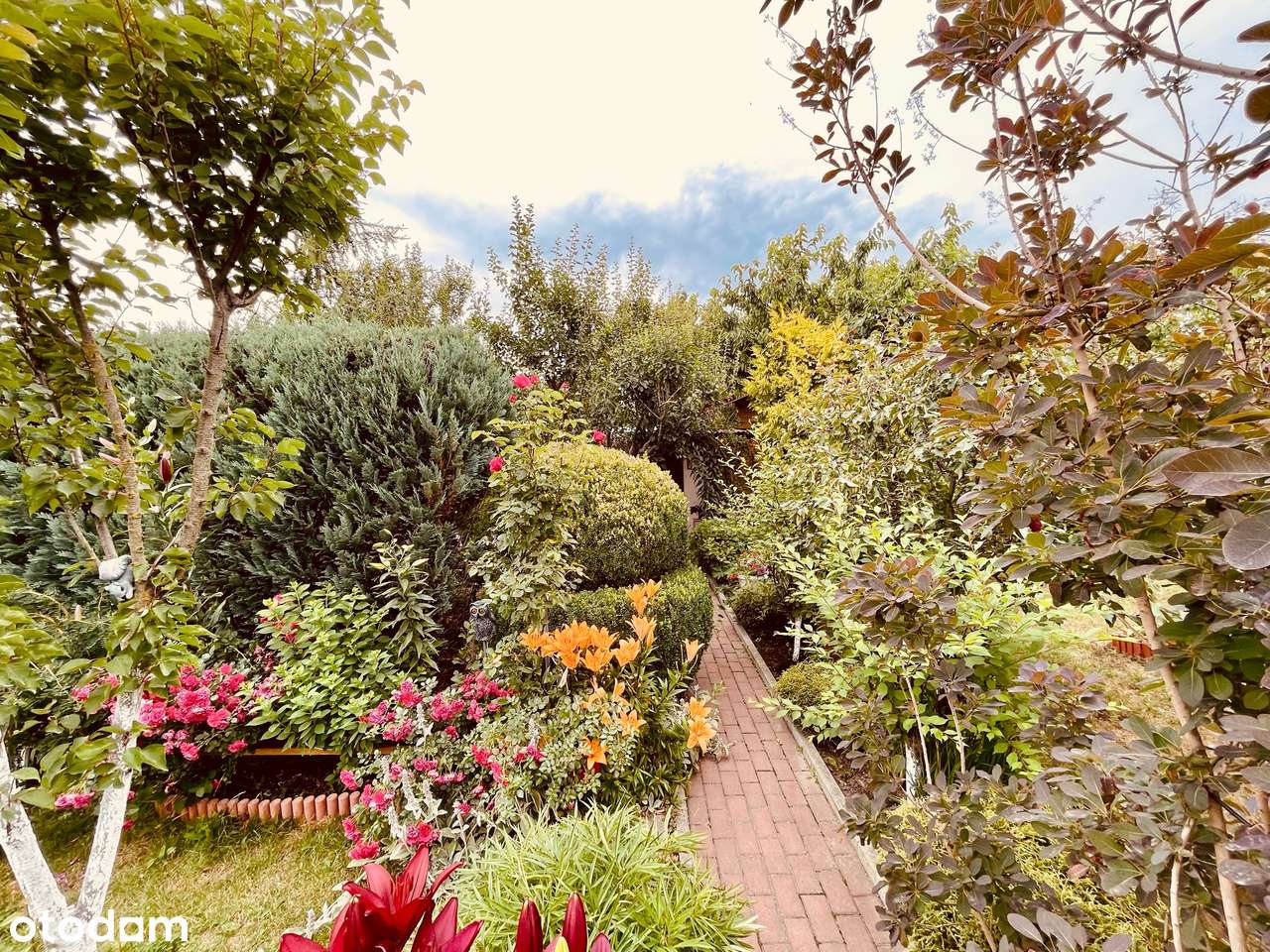 Działka ROD | Urokliwa i zadbana | Z całym wyposażeniem!-14