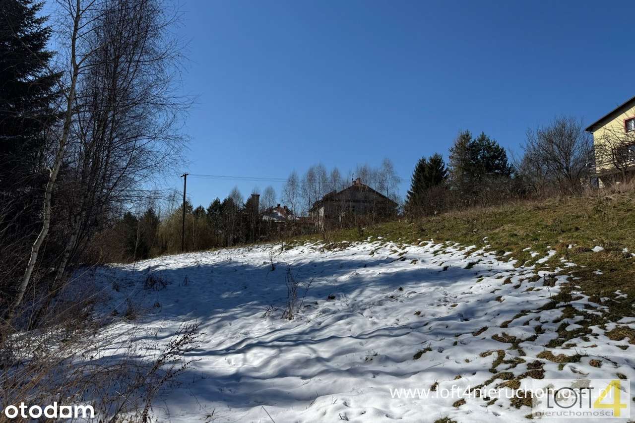 Duża działka na granicy z Sączem w Januszowej - Pełny obrazek: 5/14