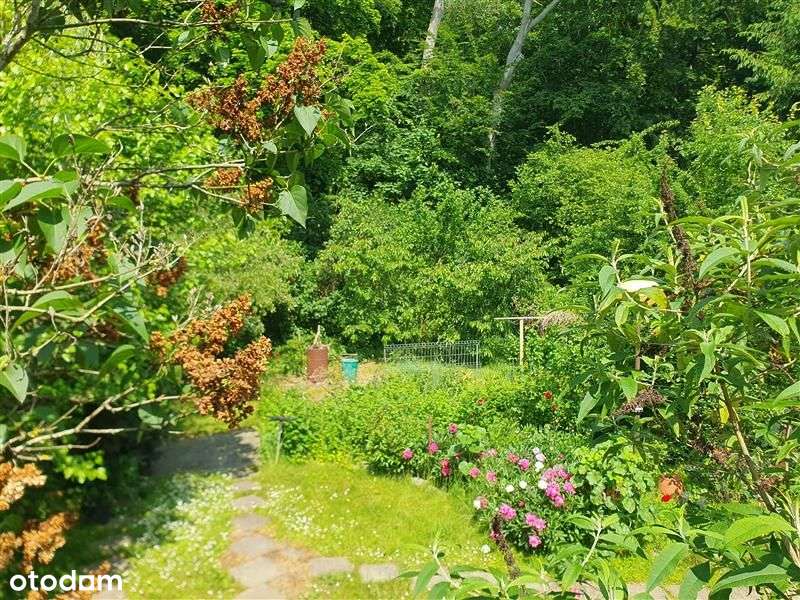 Dom wolnostojący - Gdańsk Wrzeszcz-10