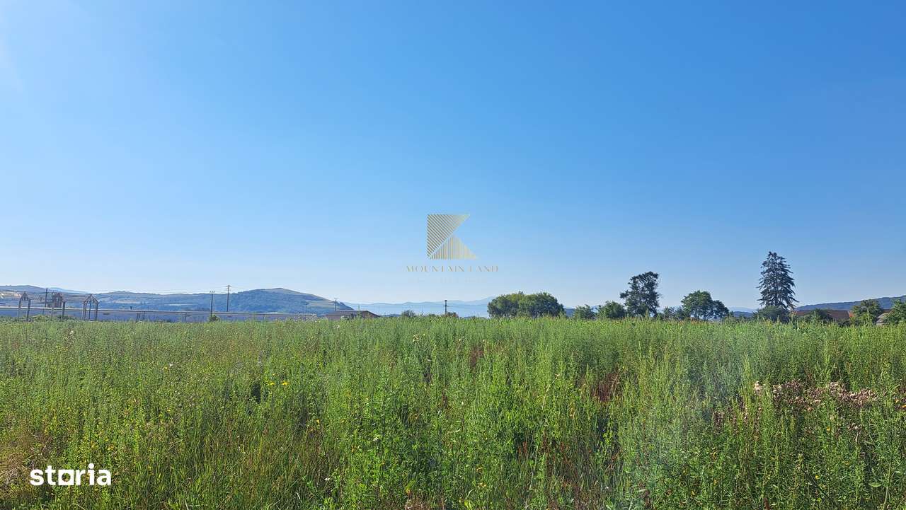 Posibilitate RATE | Teren Bod | curti constructii | utilitati | PUZ,-16