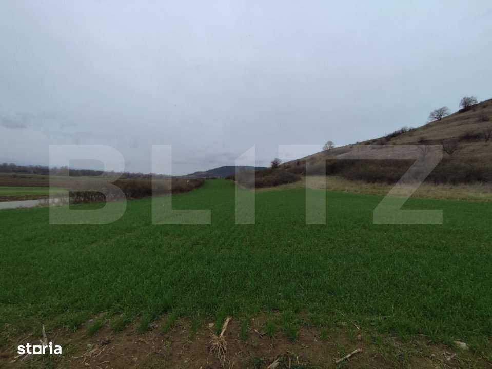 Teren extravilan, 1.200 mp, zona Parau lui Mihai - Imagine principală: 2/2