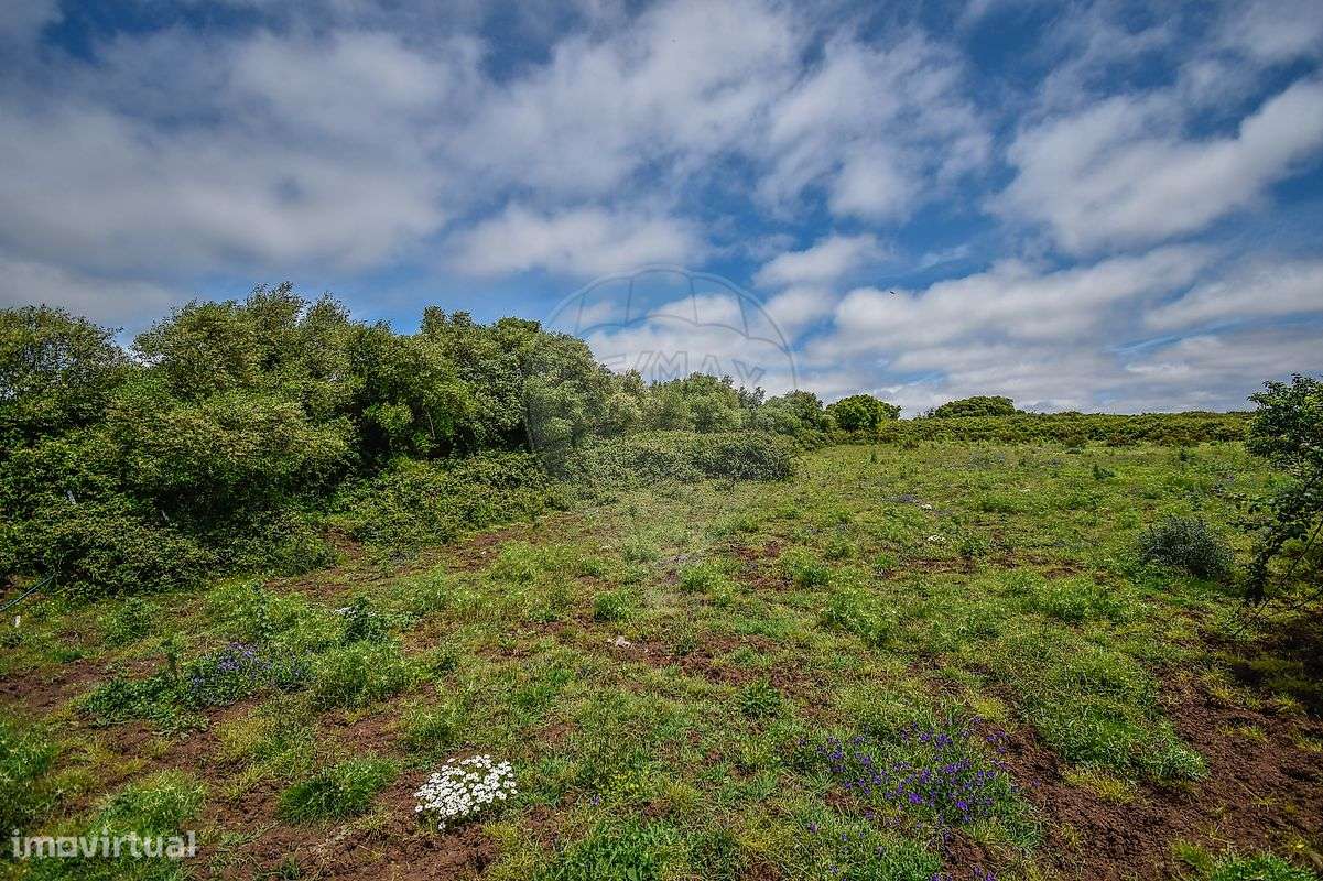 Terreno  para venda - Grande imagem: 5/14