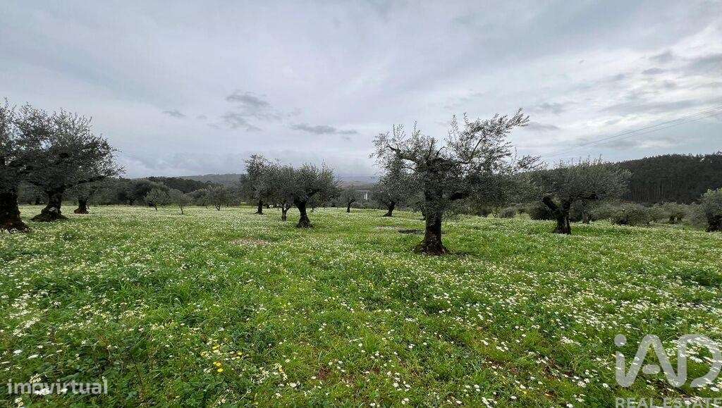 Terreno para construção em Podentes de 2088,00 m2 - Grande imagem: 4/14