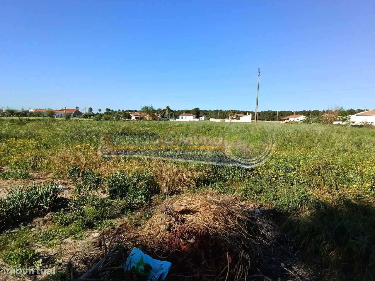 Terreno em Foros de Salvaterra (F729) - Grande imagem: 5/5