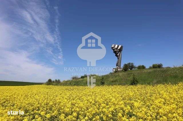 TEREN DE VANZARE - Imagine principală: 3/3