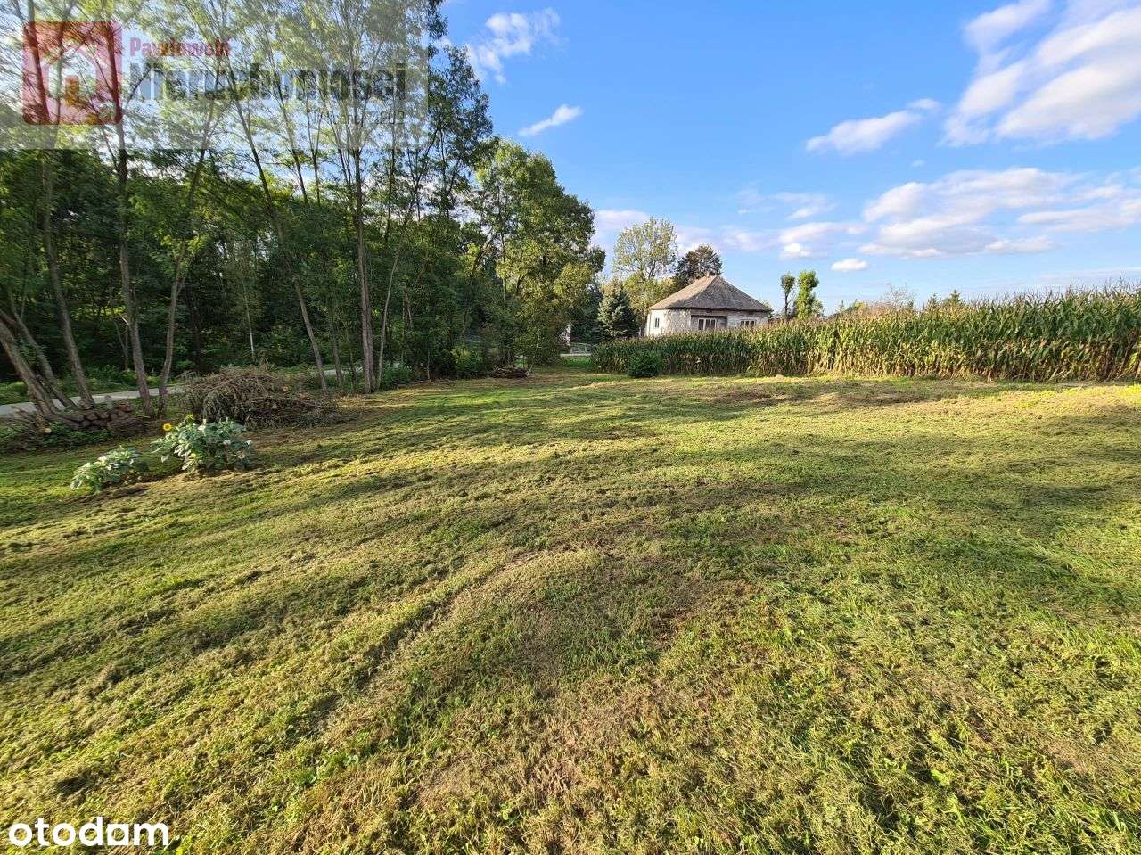 Działka, 1 018 m², Brzezinka - Pełny obrazek: 5/6