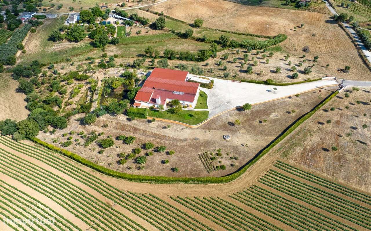 Industrial T0 para venda - Grande imagem: 4/45