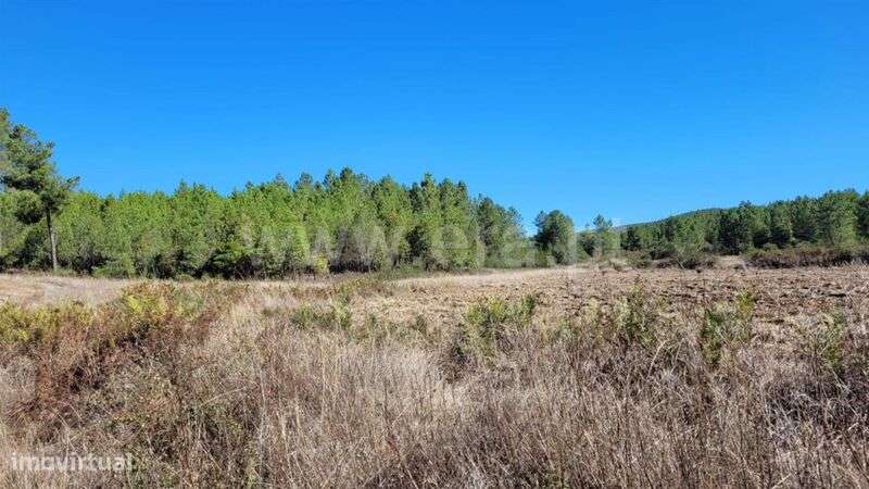 Terreno Rústico / Fundão, Enxames - Grande imagem: 2/9