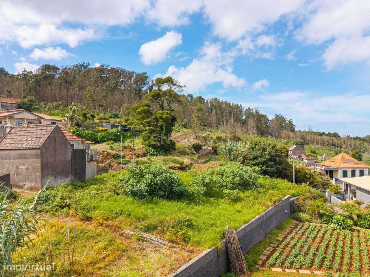 Terreno Plano com Vistas Mar e Natureza Envolvente - Porto Moniz-8