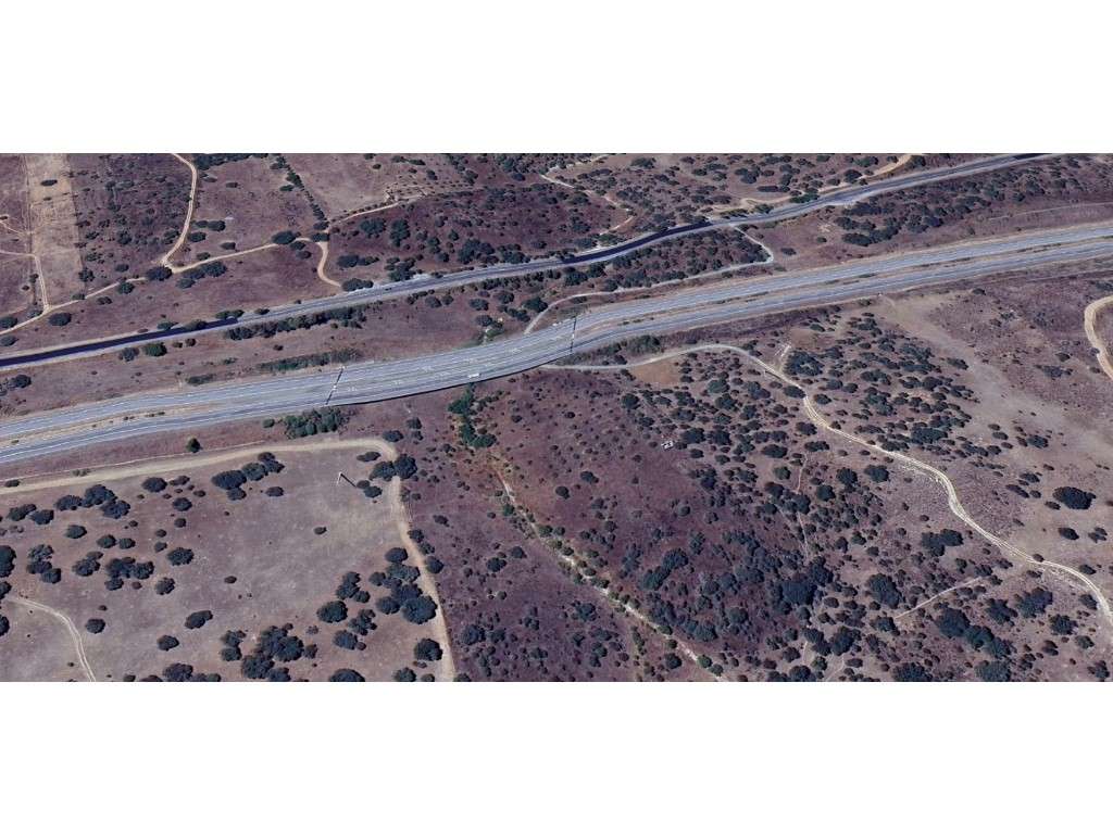 Terreno rústico com 11.800m2 a 10 minutos de Elvas-5