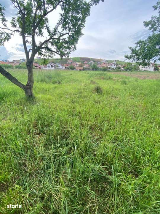 Teren intravilan, 1250 mp, Sura Mare - Imagine principală: 4/6