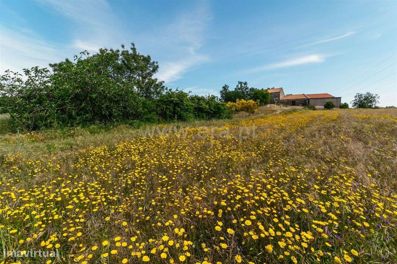Quinta T2 / Belmonte, Belmonte - Grande imagem: 5/20