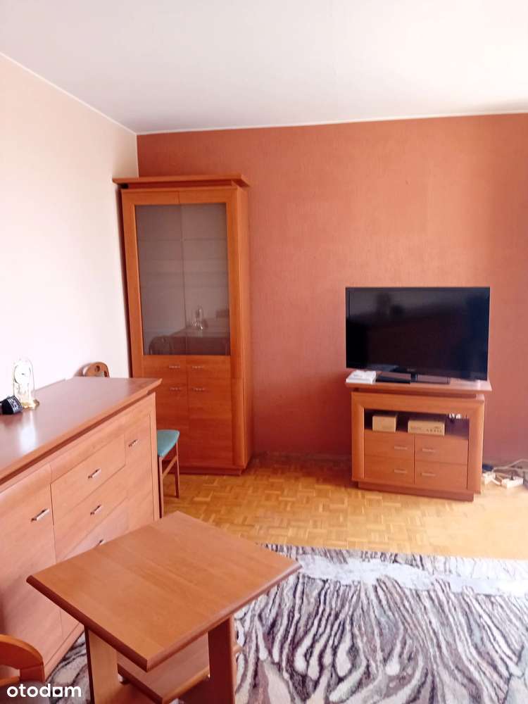 Ustronne miejsce w centrum miasta-1