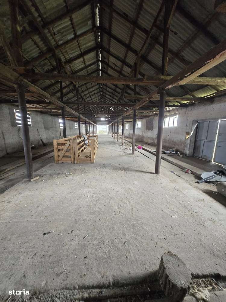 Teren Extravilan + o constructie  de Vânzare – Șeica Mică-2