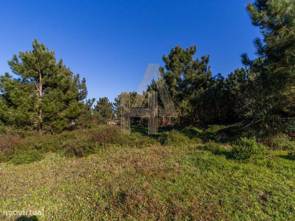 Terreno com 6750m2 e 170m2 de Construção - Grande imagem: 3/6