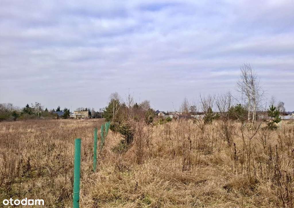 Działka budowlana w Pniewach-6
