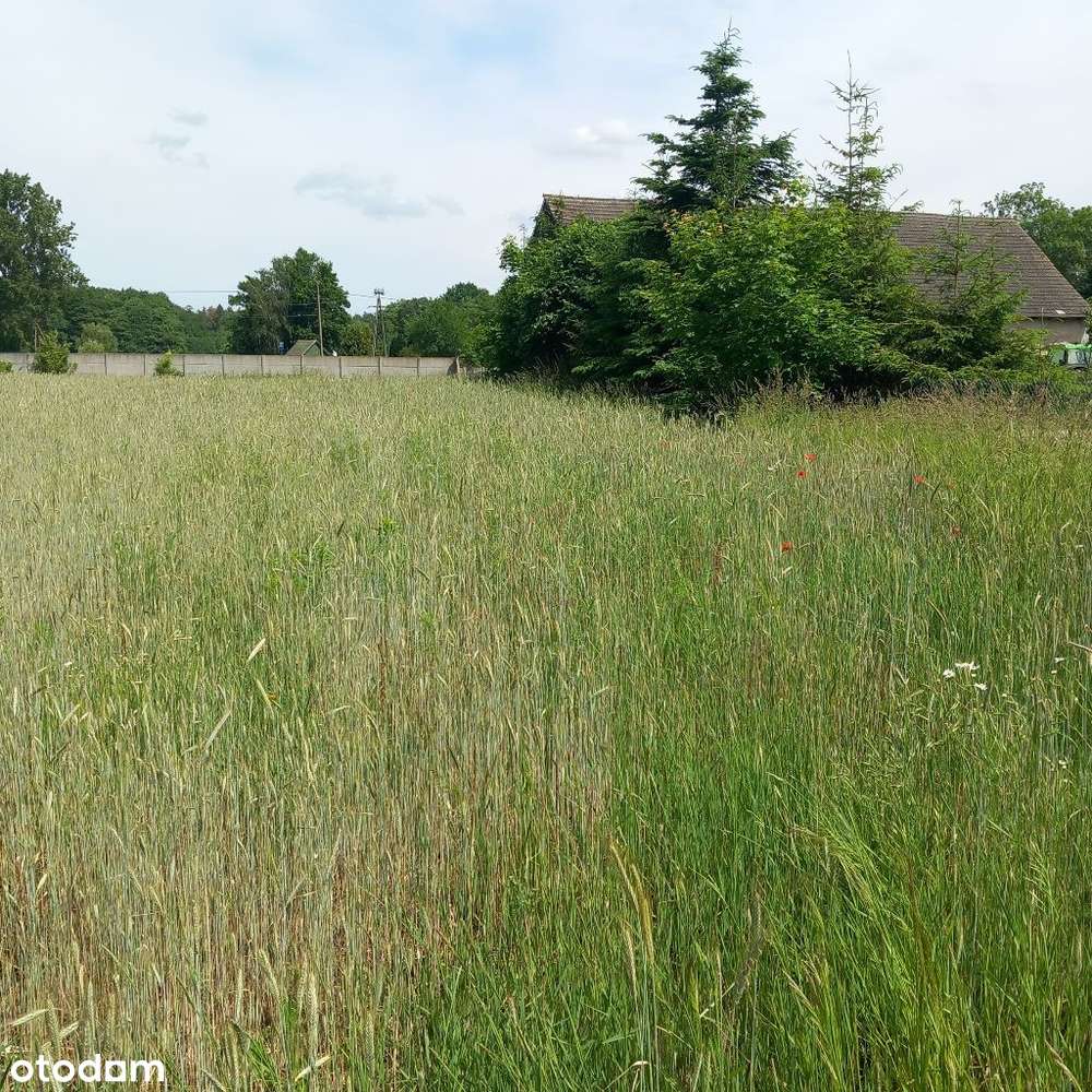 Działki 4km od miasta z kompl. mediów i utw. drogą-10