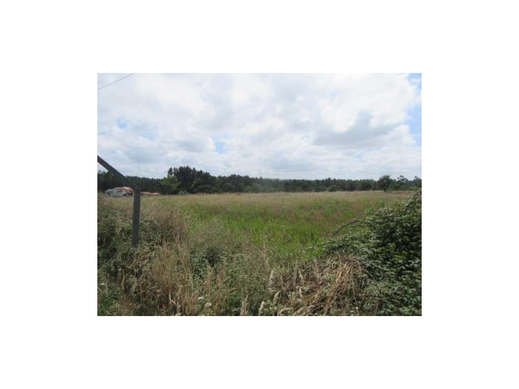 Terreno para construção na Serra Porto D'Urso - Grande imagem: 3/3