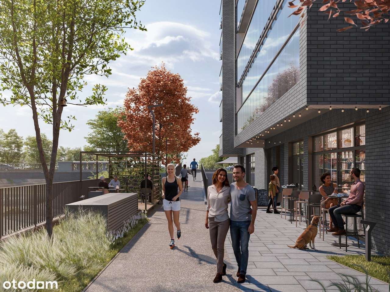 OKAZJA / Tuz przy Odrze z ogródkiem / Zadzwoń! - Pełny obrazek: 4/4