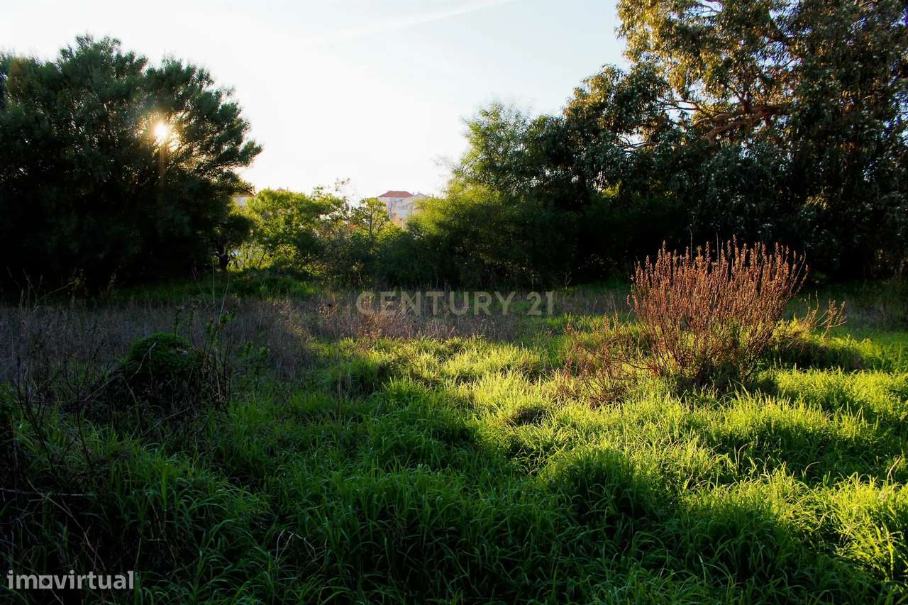 Dois lotes de terreno rústico – Vila Nova de Caparica - Grande imagem: 4/6
