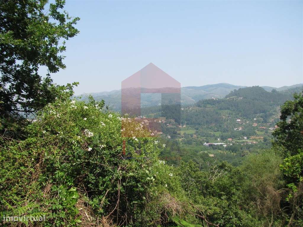 Terreno, Valbom S. Martinho - Grande imagem: 4/4