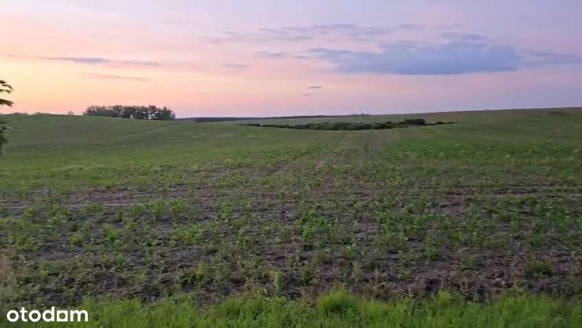 1z 2 domów jednorodzinnych90 m2 w Dolsku, pełne media, działka 1000m2-13