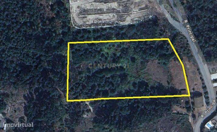 Quintinha em Cavernães, Viseu - Grande imagem: 5/5