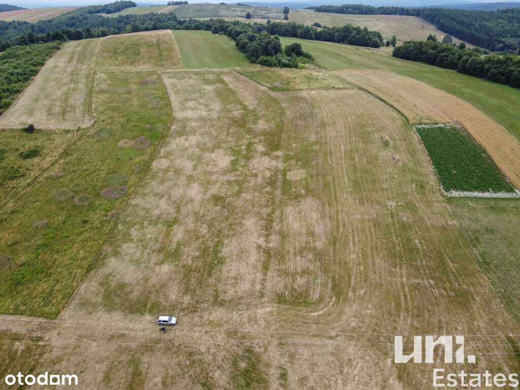 Kuźmina | 3 działki | 108 ar - Pełny obrazek: 5/16