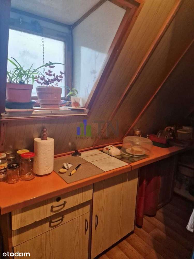 Ogród 716 mkw! - Pełny obrazek: 4/20