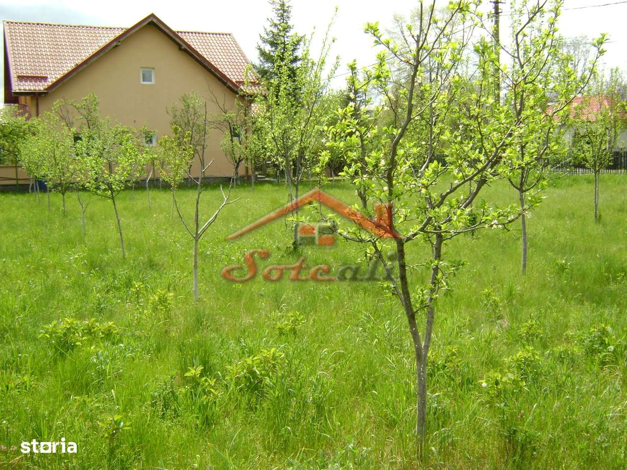 Teren de vanzare in Cornu 1183 mp-1