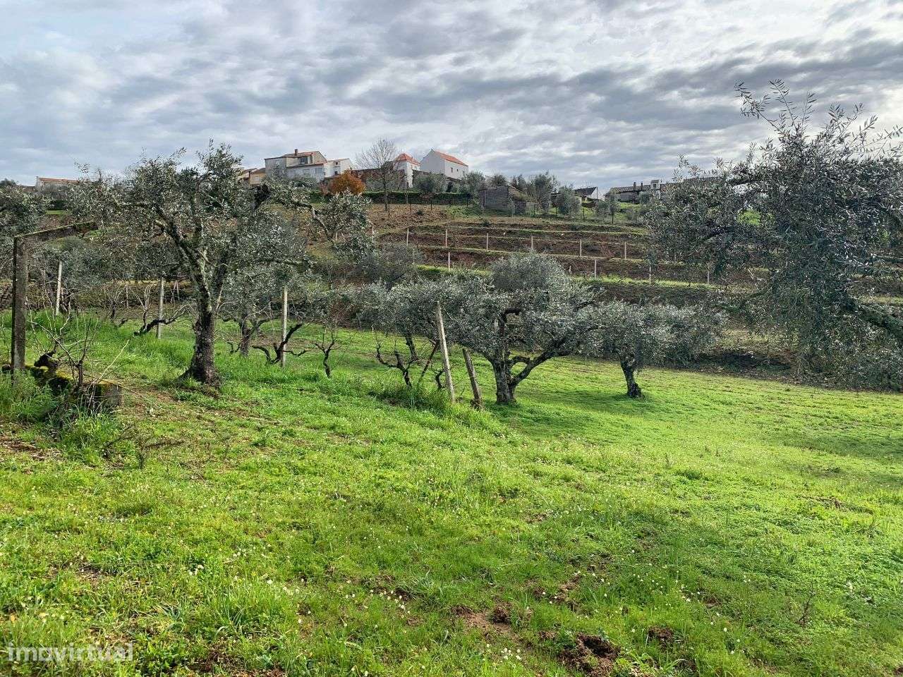 Terreno - Grande imagem: 5/8