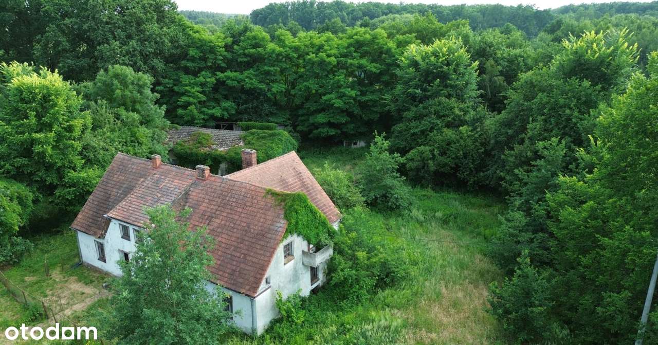 Wyjątkowa posiadłość w sercu lasu | Henrykowice k. Milicza | Dom 280 m-4
