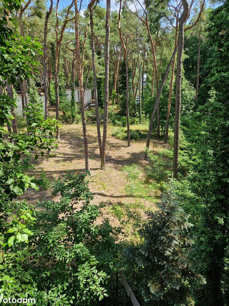 Na sprzedaż całoroczny apartament w Boszkowie Letnisku.-13