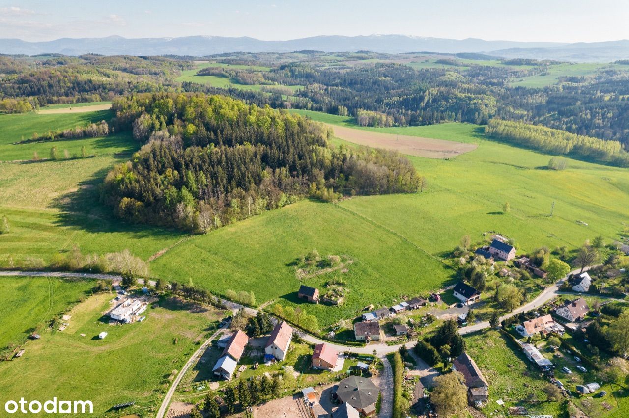 Działka budowlana (Jelenia Góra)