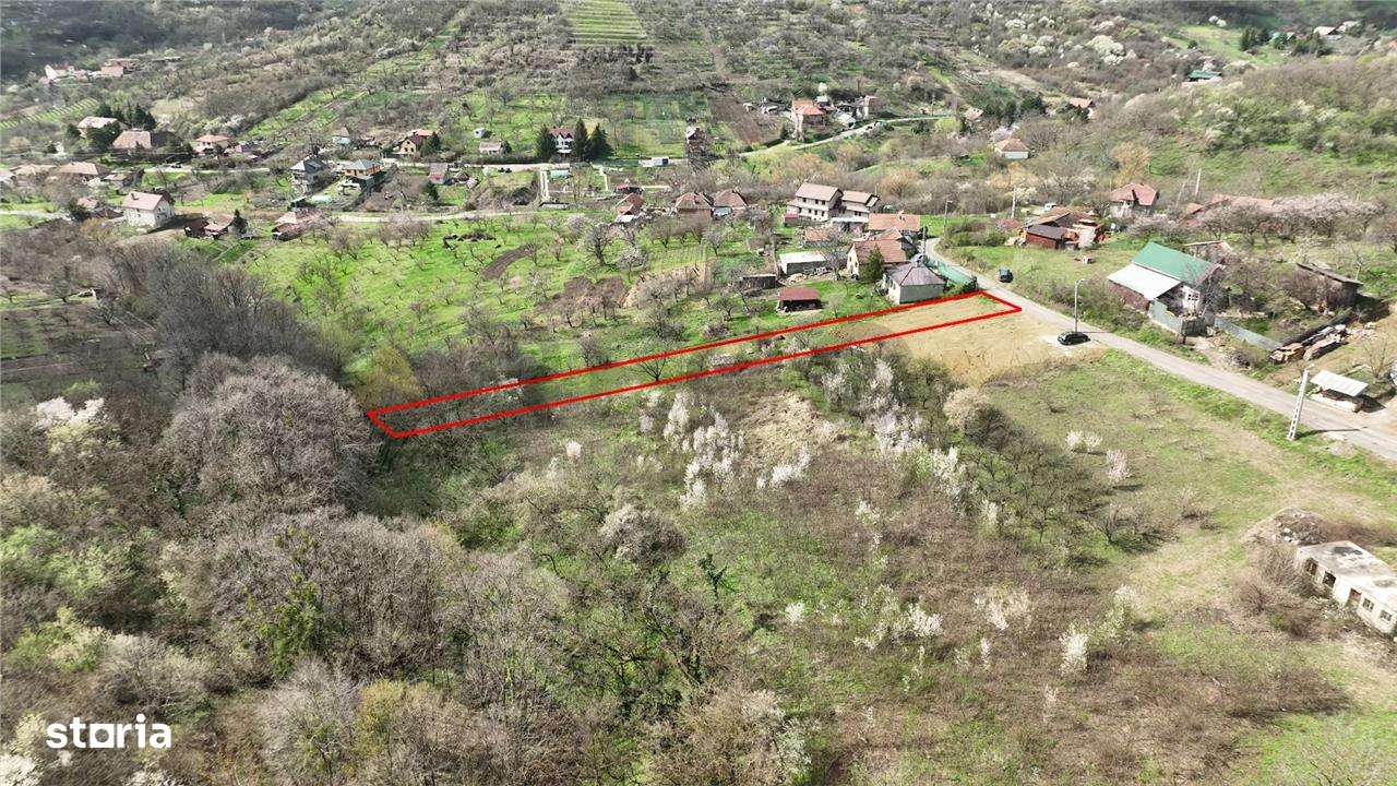 Teren  intravilan  Podgoria - Imagine principală: 2/5