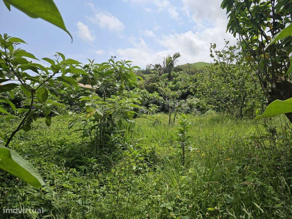 Terreno Urbanizável na Zona da Boavista - Estrada da Ribeira Grande... - Grande imagem: 5/27