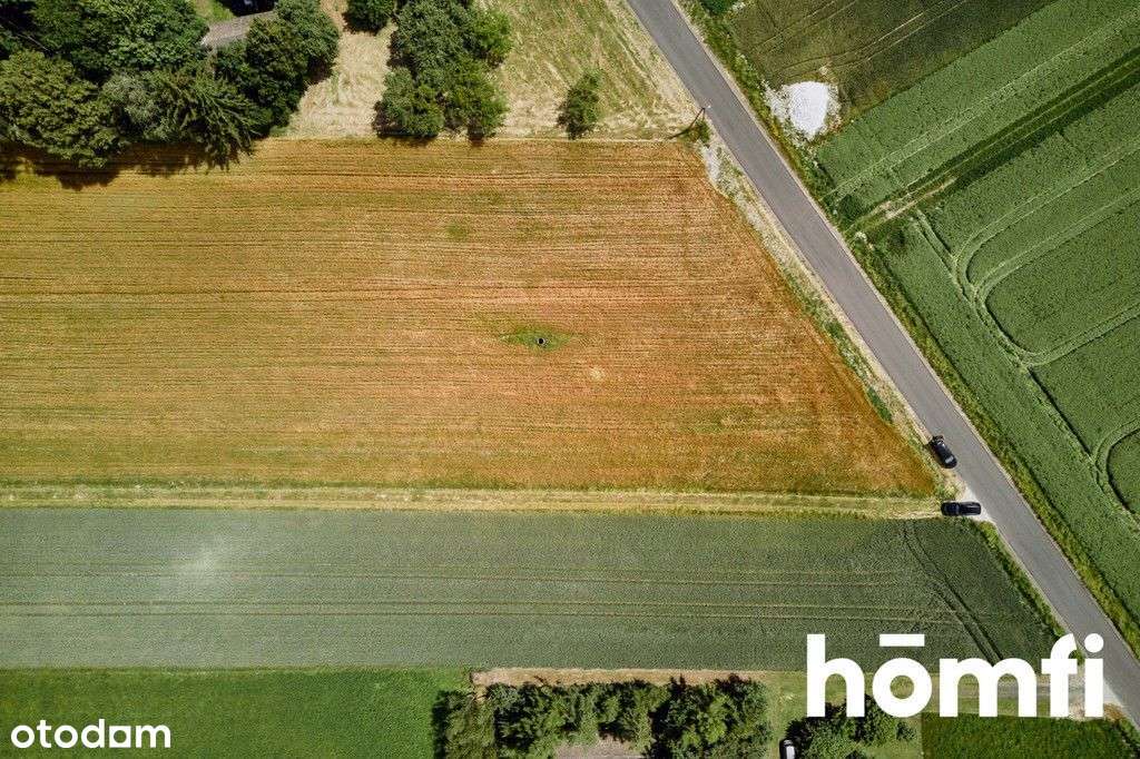 Malownicza działka w pobliżu Krasnegostawu Plan - Pełny obrazek: 4/16