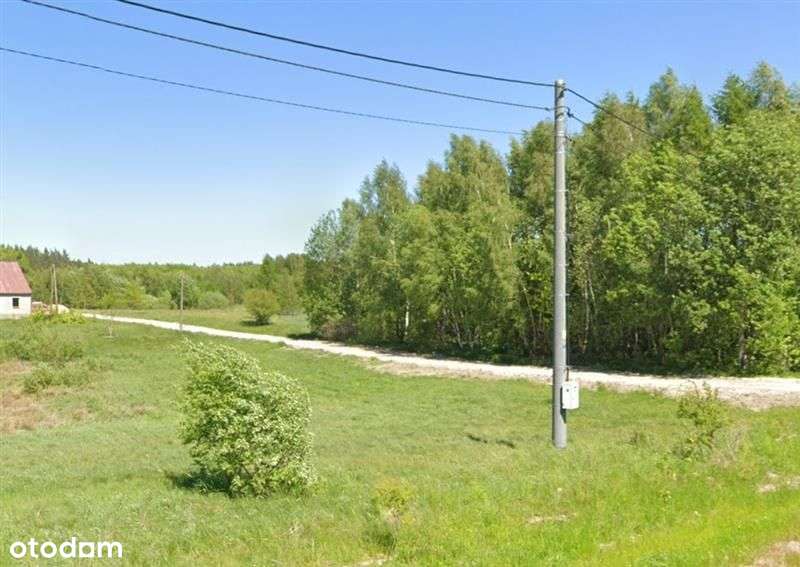 Nowa Wieś Przywidzka | Blisko Omt | Urokliwe - Pełny obrazek: 2/4