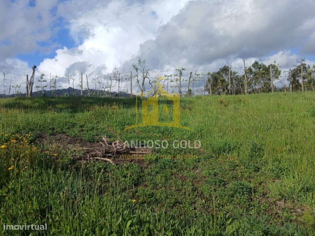 Terreno Agrícola com Tanque de Água - 2.240m² em Calvos, Póvoa de L... - Grande imagem: 2/14