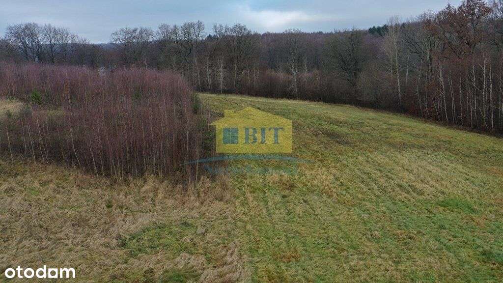 Działka 1,1041 ha nad jeziorem Ostrowiec-13