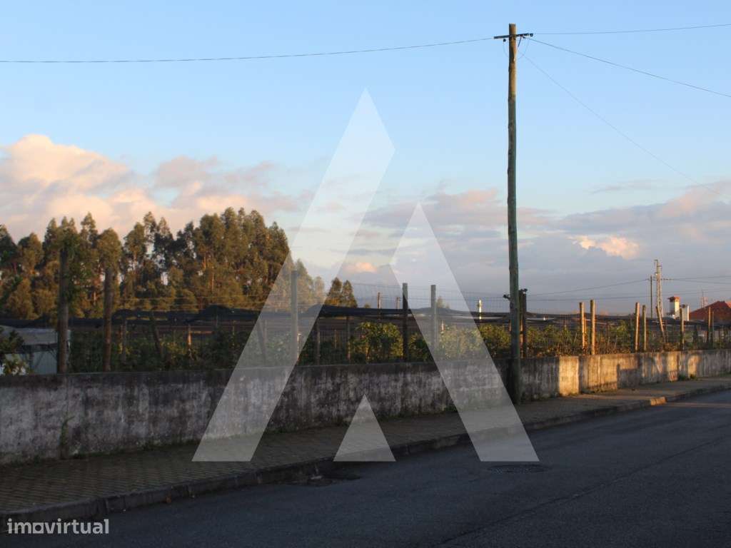 Terreno para construção em Albergaria-a-Velha - Grande imagem: 5/21