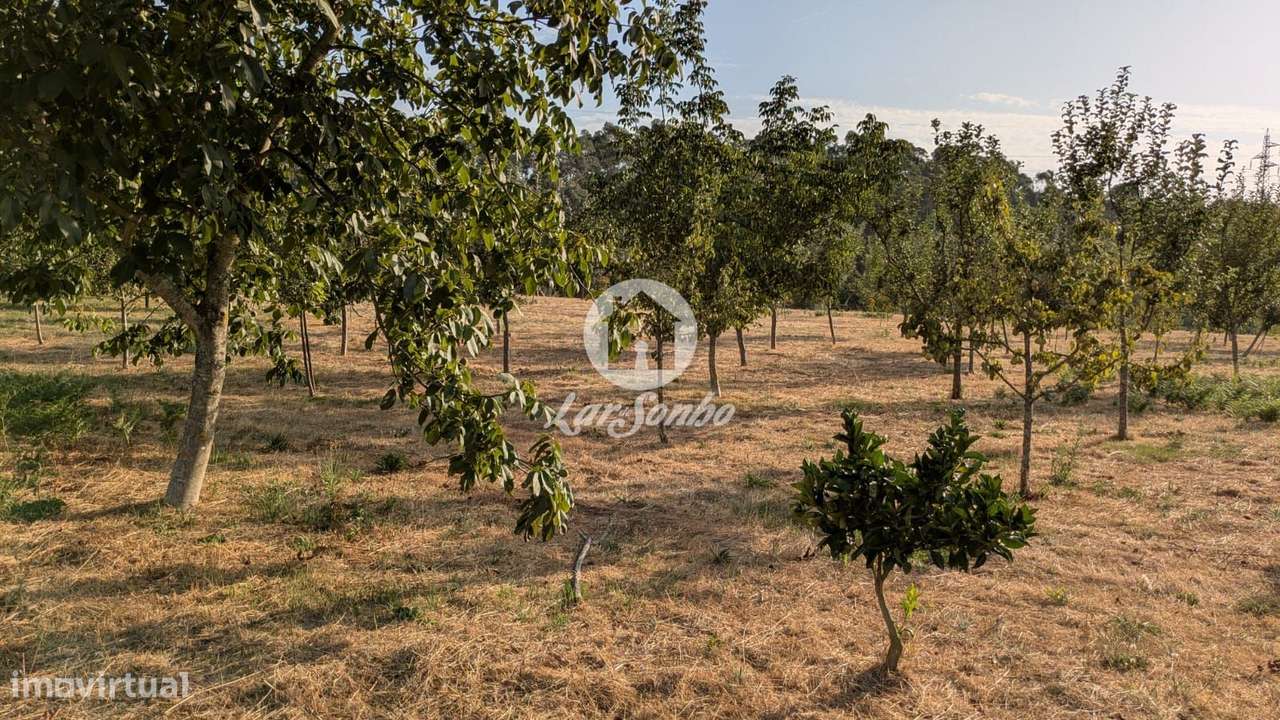Terreno plano com 4.210m2 junto à cidade de Fafe - Grande imagem: 5/8